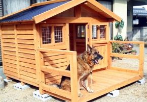 オリジナルで大型犬から小型犬の犬小屋としても使えるハウスです。